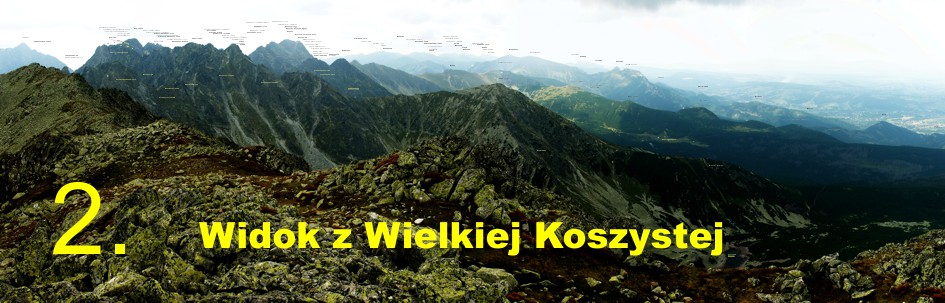 Panorama z Wielkiej Koszystej